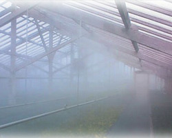 prsenje megle